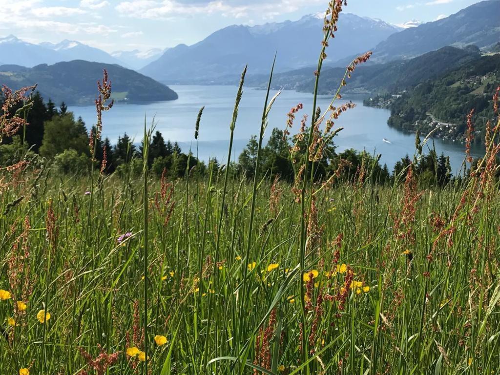 Appartement Zirbenduft Ferienhaus Fuenf Sinne Döbriach Exteriör bild